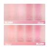 Clio Essential Blush Tap (8 Colors) 3g