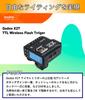 Japanese Godox X2T Wireless Flash Trigger for Canon [Authorized Distributor] X2T-C (TTL 1/8000s) (X2TC)