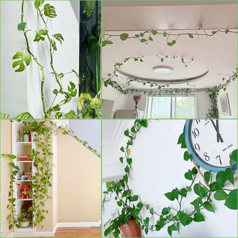 10/20PCS Invisible Plant Climbing Wall Fixture Clips Acrylic Sticker Self-Adhesive Hook Plant Vine Traction Holder Indoor Outdoor