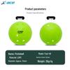 48-Hole Professional Outdoor Pickleball Court Ball for Competition & Training