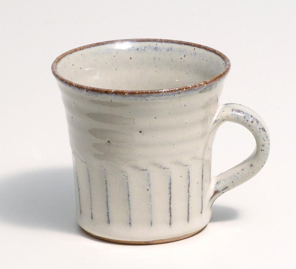 Shigaraki Ware Hechimon Shirahagi Mug