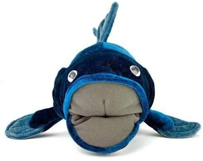 Calorata Coelacanth Plush Toy (Medium Twice Tested 36cm Long x 21cm Wide x 15.5cm High) Ancient Fish Toy, Realistic Gift for Birthdays, Boys and