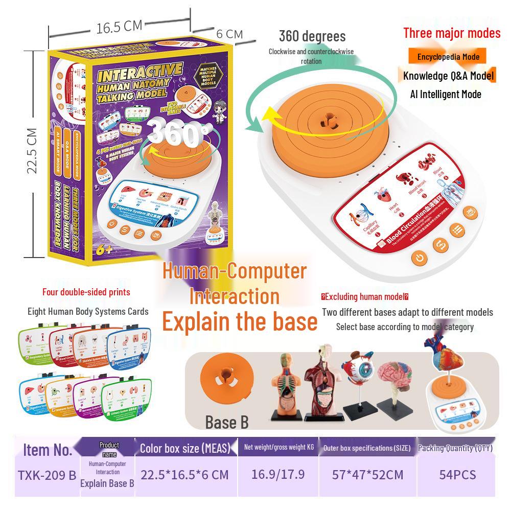 Children's STEM Educational Human Skeleton Model Toy