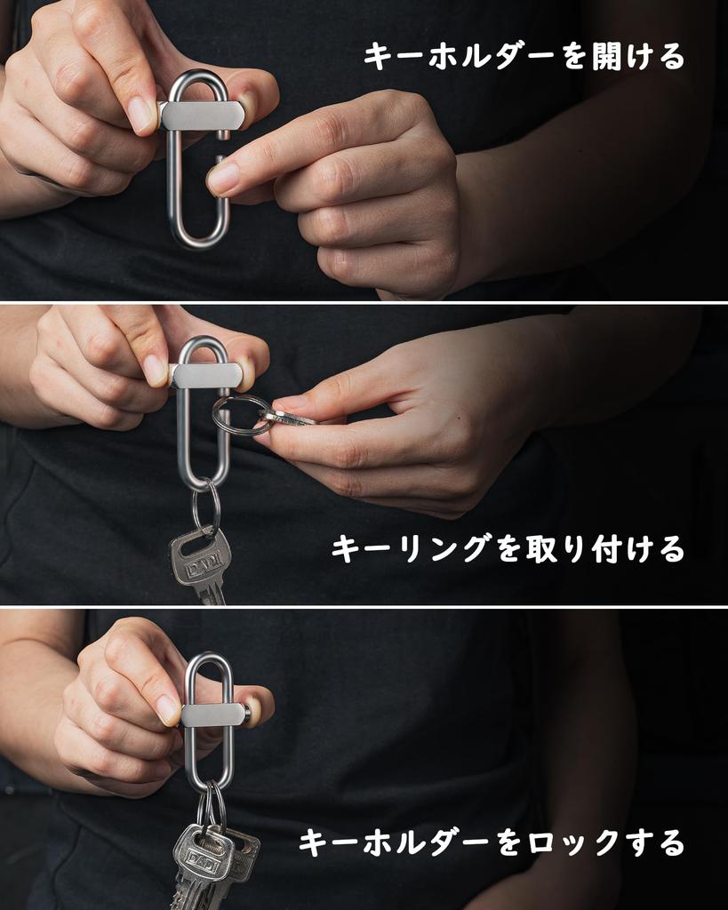 TISUR Car Key Chain, Double Ring, Keychain, Carabiner Hook, Keychain, Stylish, Silver/Carabiner + Stainless Steel Double Ring