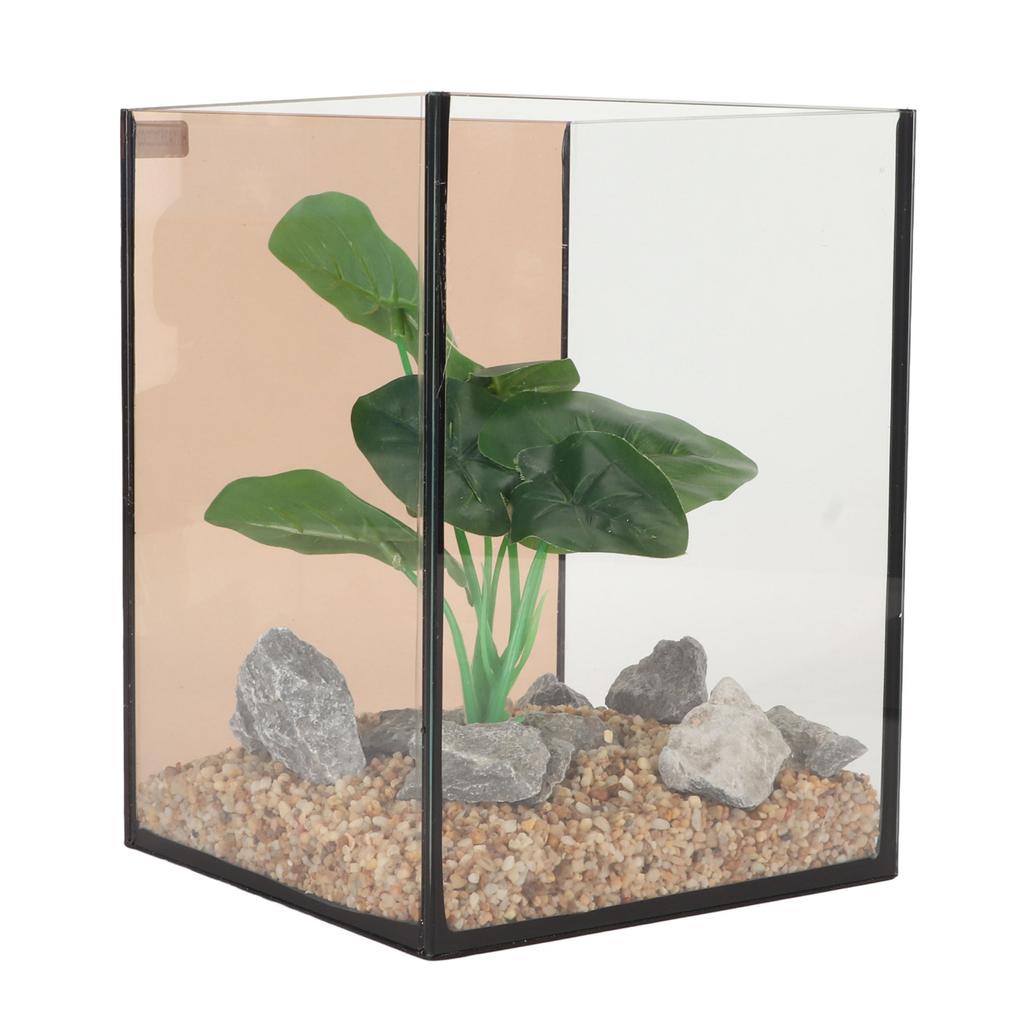 Glass Aquarium Mini Compact Ingenious Safe Low Noise Free Water Change Fish Tank Kit for Tabletop