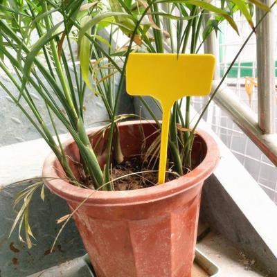 30 Pcs Plant Labels T-shape Plastic Waterproof Plant Tags Easy To Write Garden Markers for Outdoor Indoor Potted Plants Yard Patio