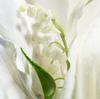Dior Lucky Unisex Eau De Parfum - Floral And Fresh Notes