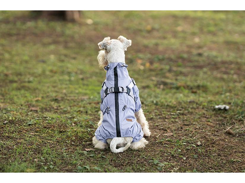 Medium & Small Dog Raincoat with Leash Hole - Waterproof & Reflective Puppy Jacket