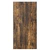 Wall Cabinet LUCCA Smoked Oak 50 x 31 x 100 cm
