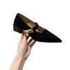 French thick heel pointed head temperament single shoes women's spring and autumn 2025 new models with skirts with evening Mary Jane shoes