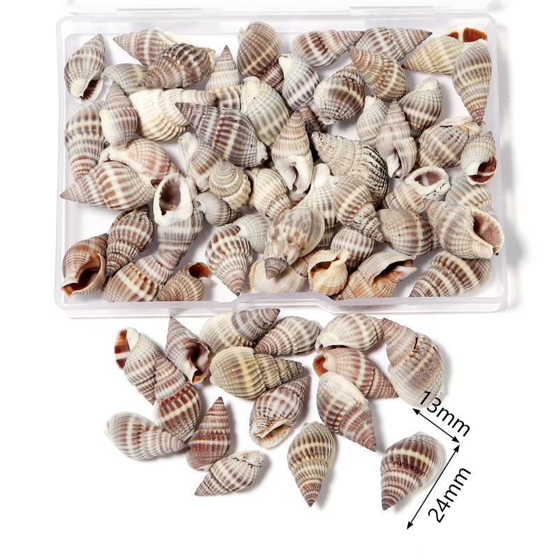 1 Box Sea Shell Spiral Shell Tiny Ocean Spiral Seashell Conch Crafts Aquarium Decoration Landscaping Accessory Photography Props