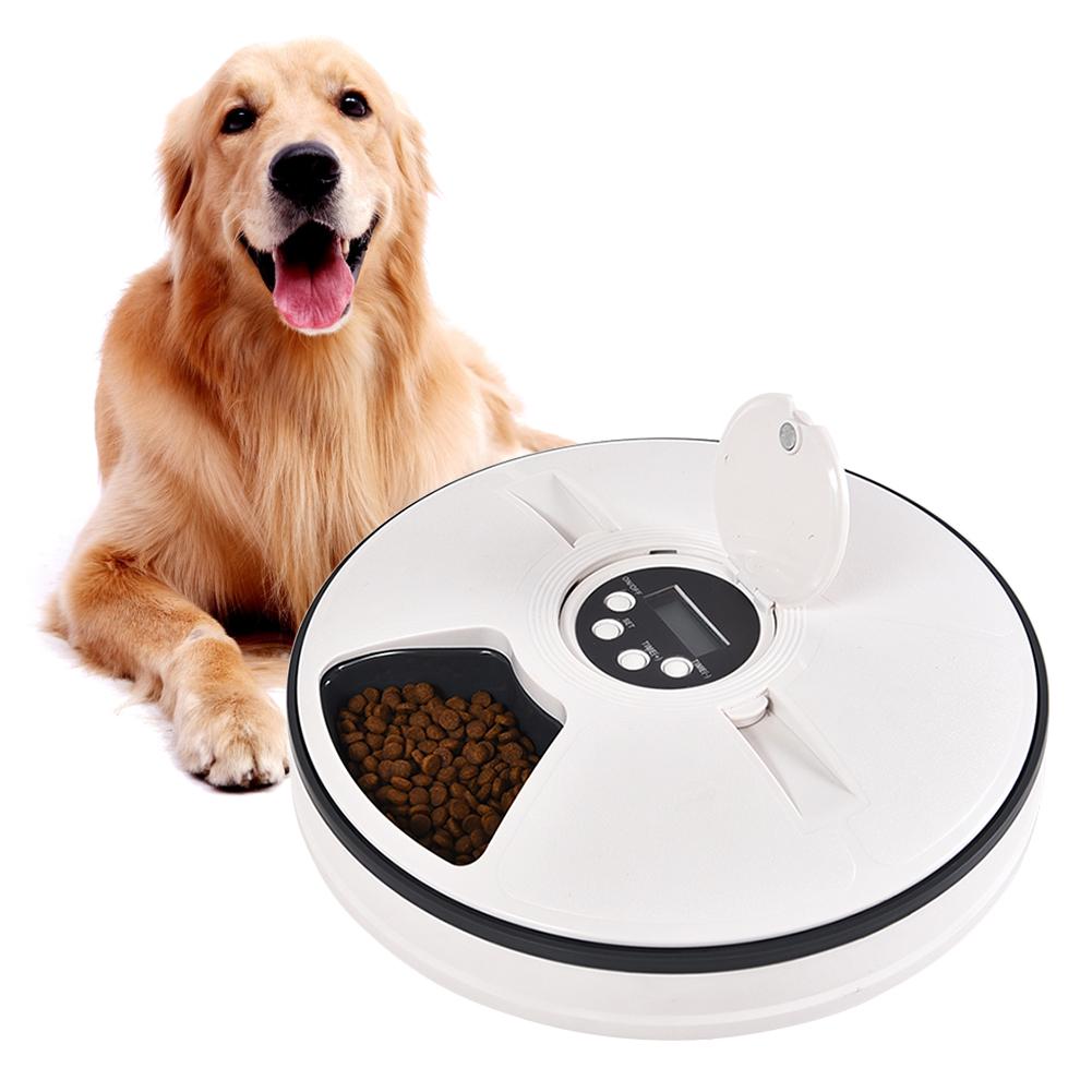 dog feeder machine