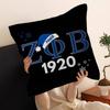 Zeta Phi Beta Sorority Cushion Cover Car Throw Pillow Case For Sofa Car Christmas Gift 40x40cm 45x45cm