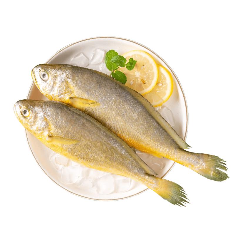 Sandu Port Yellow Croaker