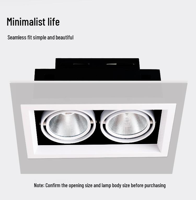 Adjustable Double-Head LED Eyeball Spotlight for Retail Stores