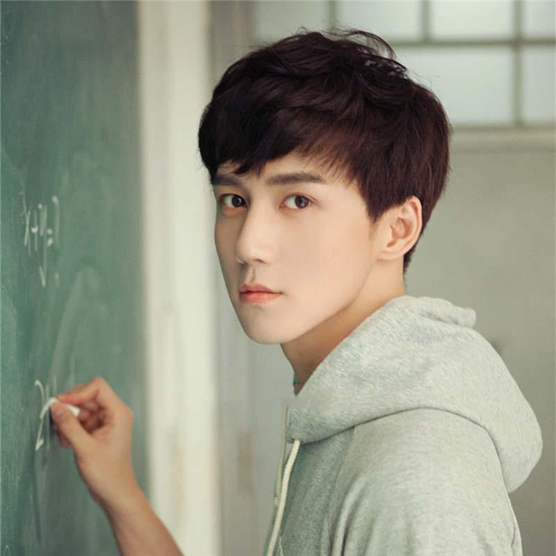 

Мужская мода Пушистый короткий парик Натуральные синтетические парики для повседневной жизни