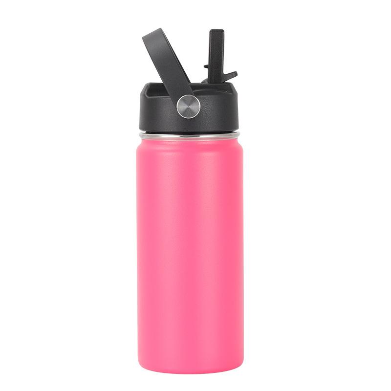 16oz 304 Stainless Steel Water Bottle, Double Wall Vacuum Insulated Sports Flask with Flip Straw Lid & Carry Handle