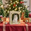 Cat Christmas Calendar Countdown 2D Acrylic Cute Cat Calendar with 24 Boxes Artistic Holiday Ornament for Women Men Boys Girls