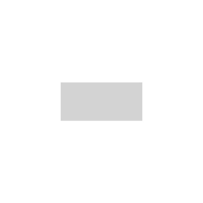 Peinture tous usages Gris granite 59 ml