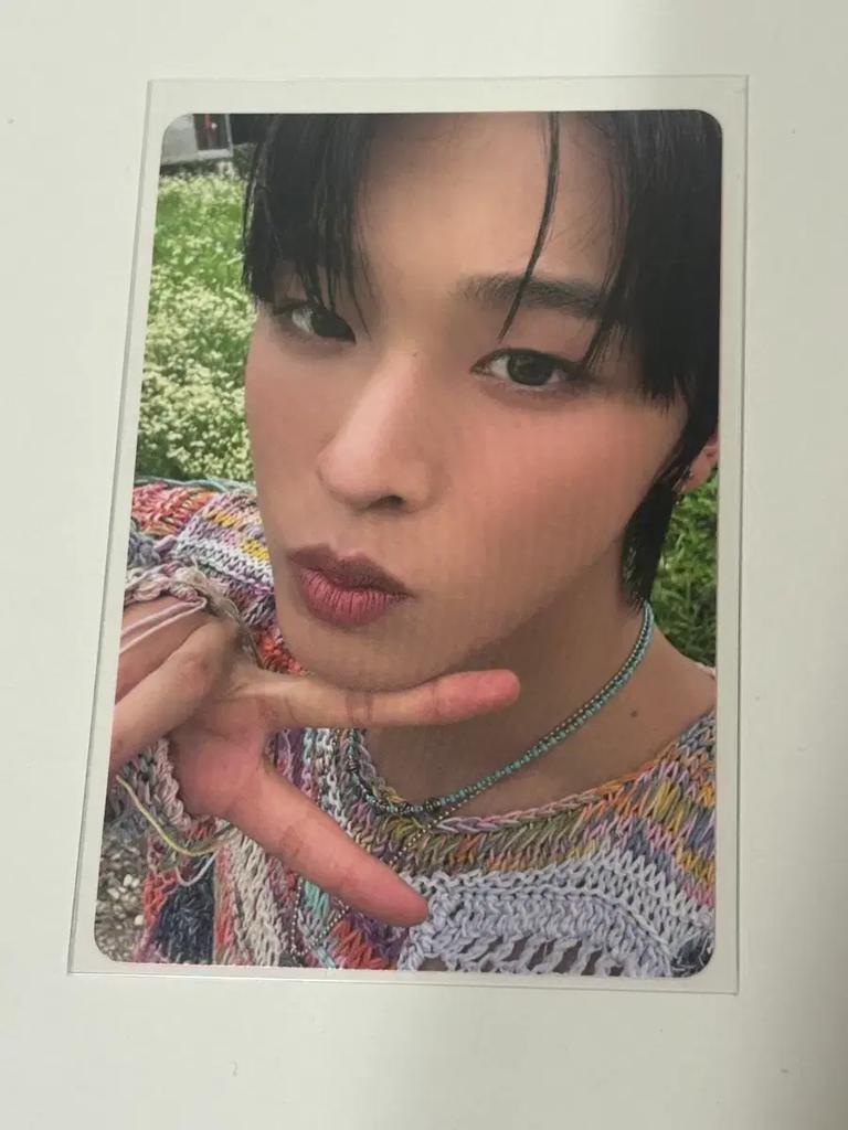 NCT Wish Request Poka All at Once (Mikan Poka!!) Used