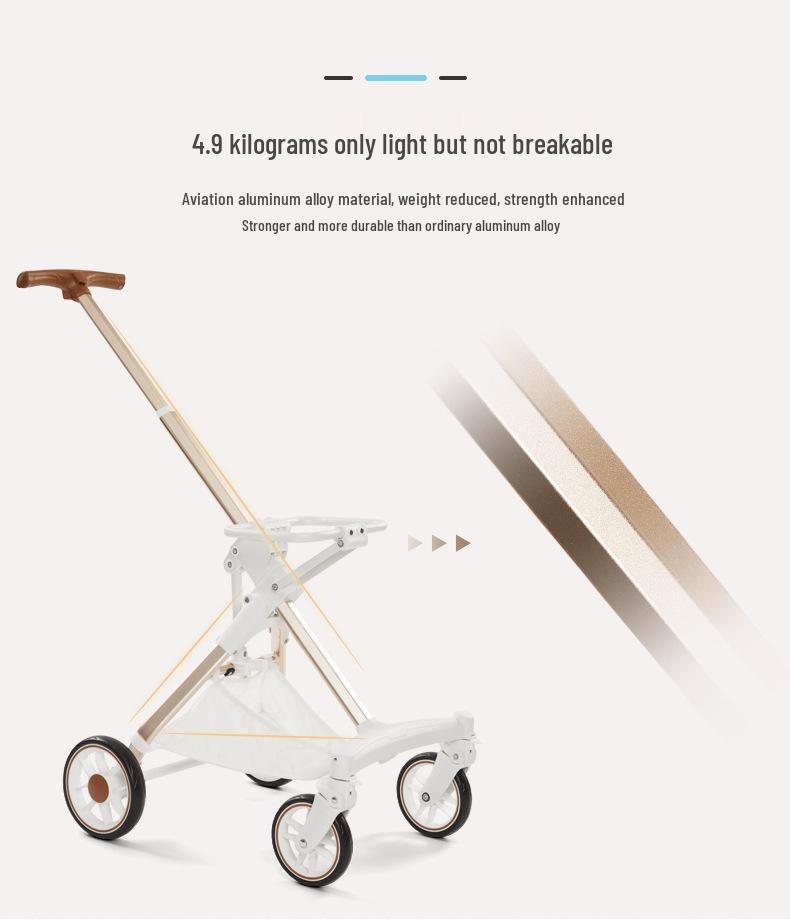 Stilvoller weißer PU-Leder-Haustierkinderwagen: Abnehmbares Design für Hunde und Katzen unter 30 Pfund