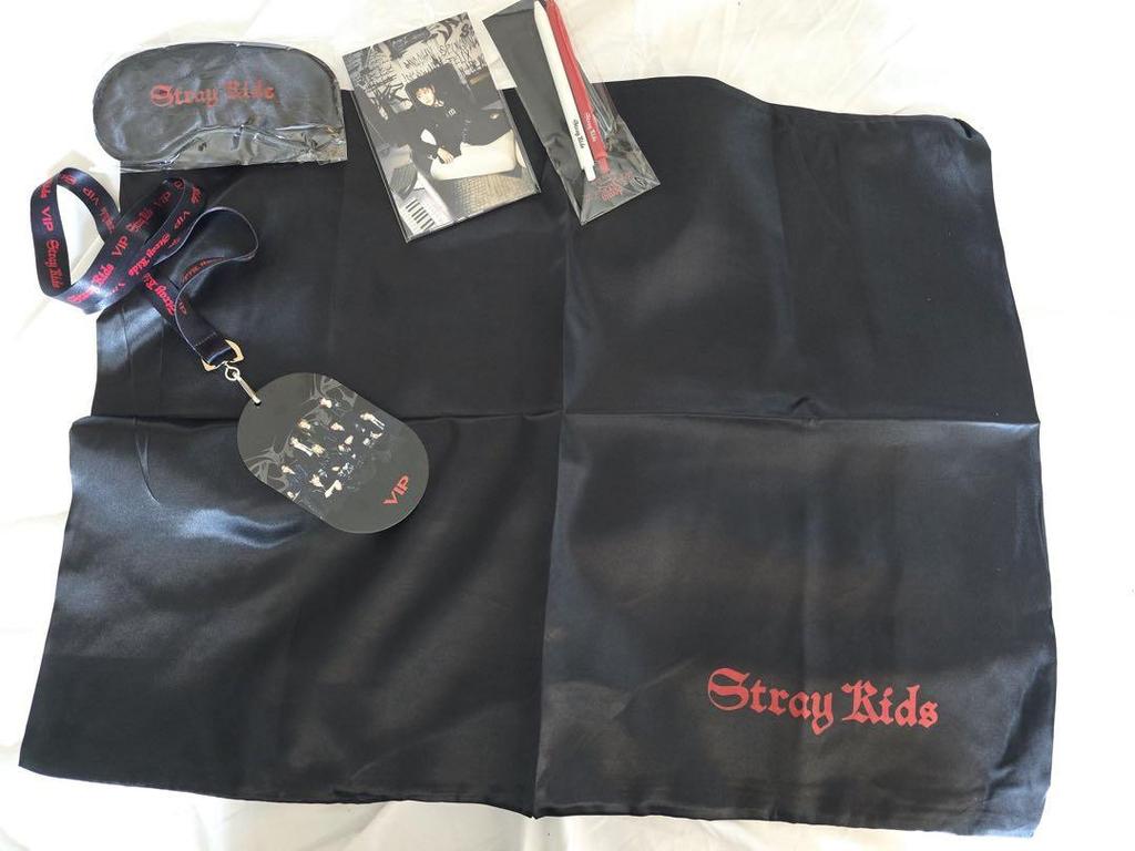 [USED] Stray Kids VIP Europe Merchandise DominATE Full