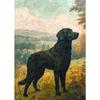 Vintage Dog Oil Paintings Poster Canvas Prints Irish Setter Airedale Terrier Finnish Spitz Dogs Wall Art Decor Family Home Decor