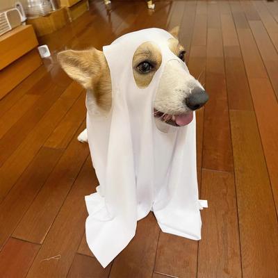 Halloween Pet Costume Scary Dog Cosplay Ghost Cloak Hood Outfit Breathable Festive Apparel for Halloween Christmas Masquerade