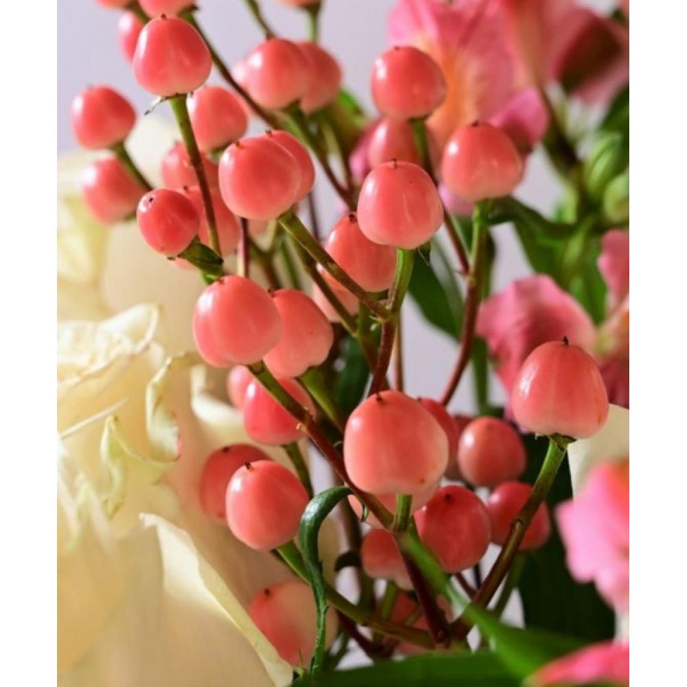 Nesh [set Of 2] Airy Texture Hair Wax 50ml   Pomegranate Biome Glow Oil Serum 80ml