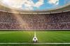 Photomural Soccer Stadium Structural Vinyl 450x300