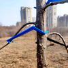 20 Pcs Fruit Tree Pruning Tools Planting Trainer Clips Combos Branch and Limb Spreaders for Trees Branches Bender Pp