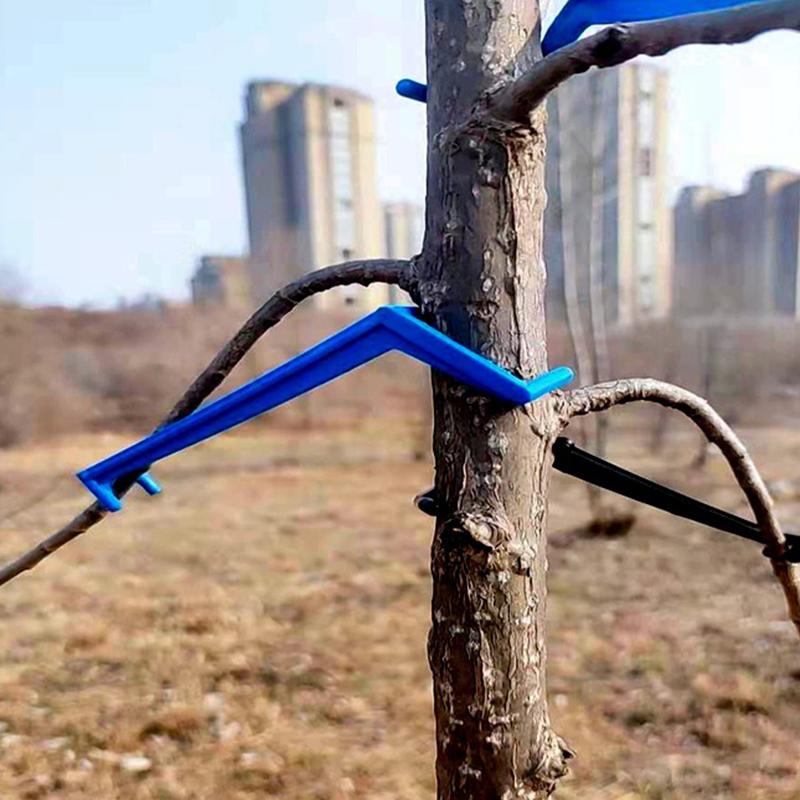 20 Pcs Fruit Tree Pruning Tools Planting Trainer Clips Combos Branch and Limb Spreaders for Trees Branches Bender Pp