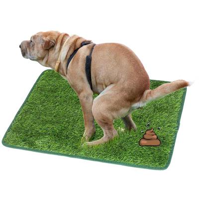 Toilette per cani con tappetino per prato per razze piccole e grandi