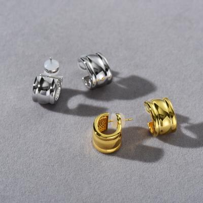Minimalist Metal Cold Wind C-Shaped S925 Silver Needle Stud Earrings Irregular Circle Earrings Unique Personality Earrings