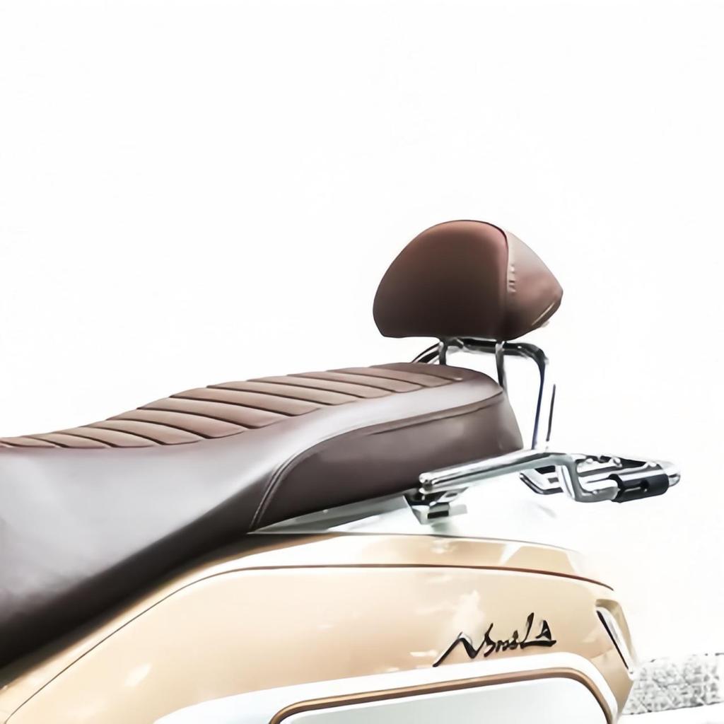 Tianfeishi Retro Backrest for Honda NS125LA, Easy Installation