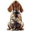 9 Styles Cute Dog Car Sticker Pet Dog Animal Car Sticker Waterproof Styling Automobiles Motorcycle Exterior Accessories Y205