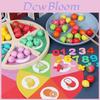 Wooden Pretend Play Fruit Sorting Board Educational Toy For Kids