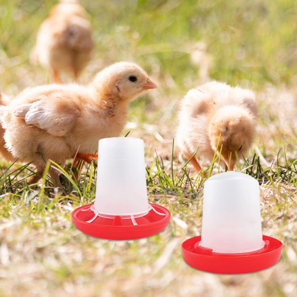 Chicken Feeder Automatic Chicken Feeders Poultry Feeding & Watering Supplies for Farm Pet Outdoor Baby Barn Family Livestock