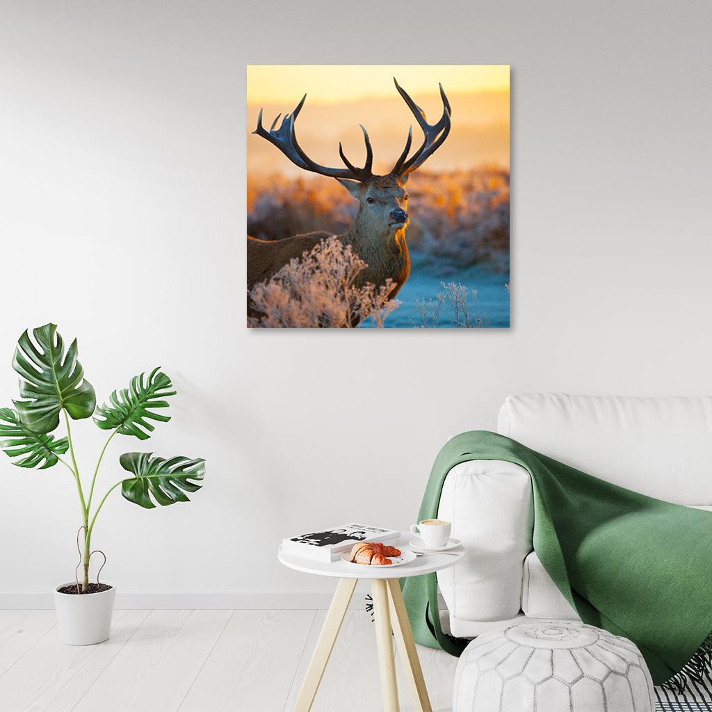 Canvas Print  Deer Sunrise