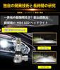WENLE Historical Super Explosive Light HB4 LED Headlight, Fog Lamp, Bulb, Compatible with New