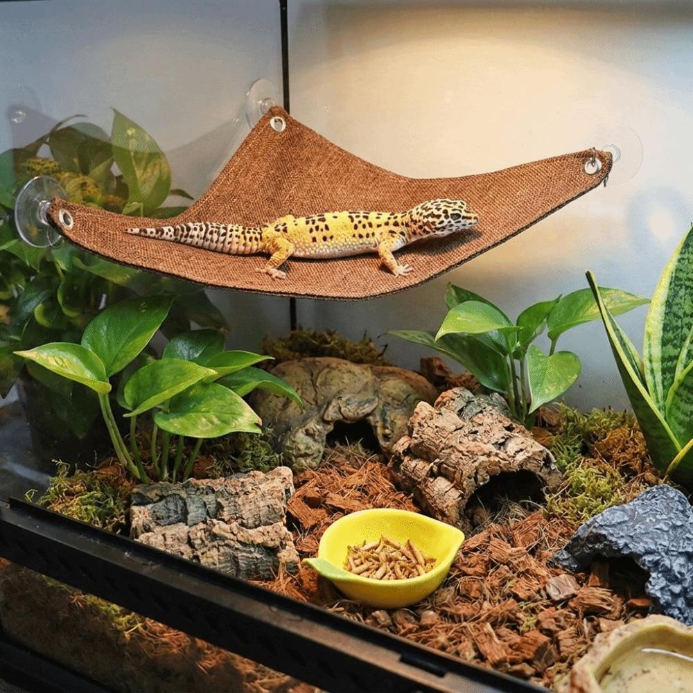 Lightweight Lizard Triangle Hammock Suction Cup Pet Climbing Net Habitat Decor