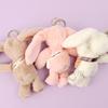 Bag Rabbit Plush Keychain_Individual (Randomly Sent)