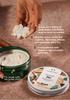 The Body Shop Shea Body Butter, 200ML