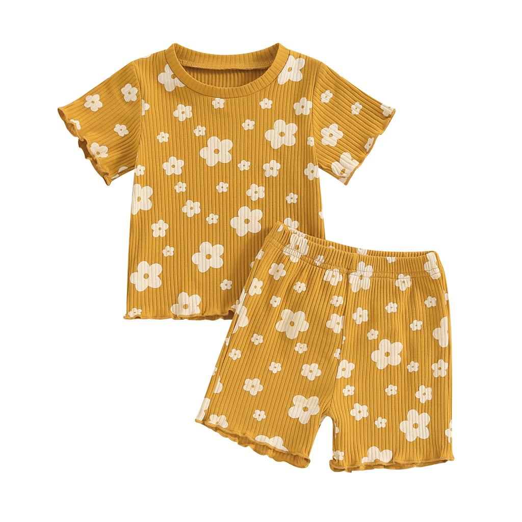 Seturi de pantaloni scurți de vară pentru fete mici, cu mânecă scurtă, imprimeu floral/fluturi, bluze și pantaloni scurți