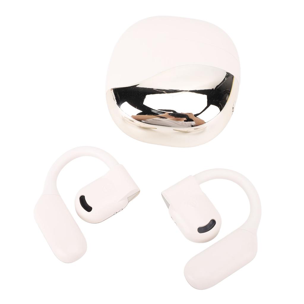 Translation Earbuds Earhook Active Noise Reduction Wireless   AI Language Translator Earbuds