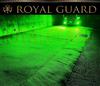The Deepest Green 2025 Late Model Royal Guard Zero LED Fog Compatible with and Demon Ever! Lamps, H11, H16, H8, Green.
