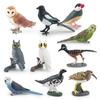 Lifelike Crow Bird Model Pvc Material Educational Toy Bird Figurine Non-assembly 3c Certified
