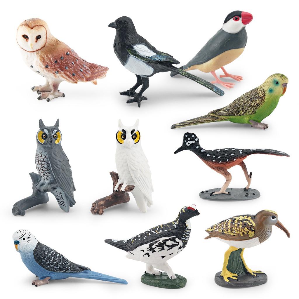 Lifelike Crow Bird Model Pvc Material Educational Toy Bird Figurine Non-assembly 3c Certified