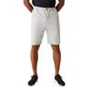 Regatta Mens Aldan Chino Shorts