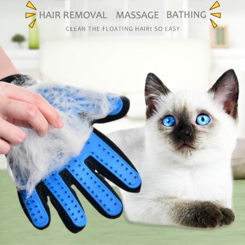 Chien de compagnie cheveux brosse peigne gant animal